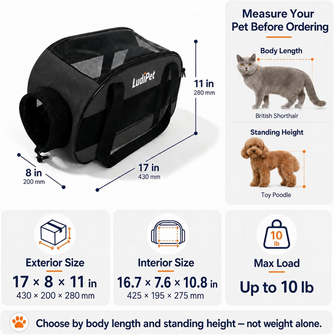 Airline-Friendly Pet Carrier for Cats and Small Dogs