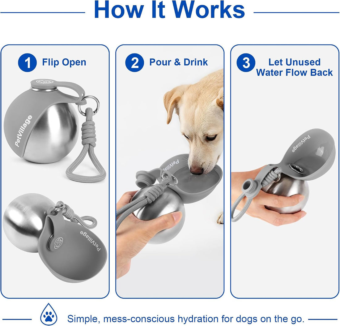 2-in-1 Dog Water Bottle with Foldable Bowl