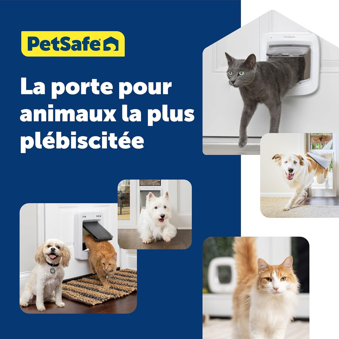 PetSafe Microchip Cat Door, Interior/Exterior, Multi-Pet, 4-Way Lock
