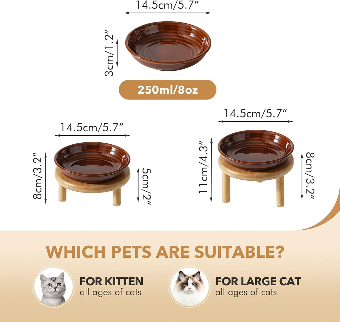 Havniva Elevated Cat Bowls Raised Ceramic Cat Bowl