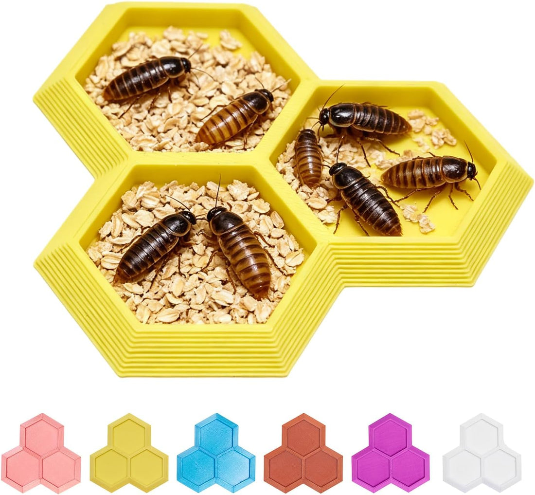 3 in 1 Dubia Roach Large Feeder Bowl, 6 PCS Isopod Food Dish