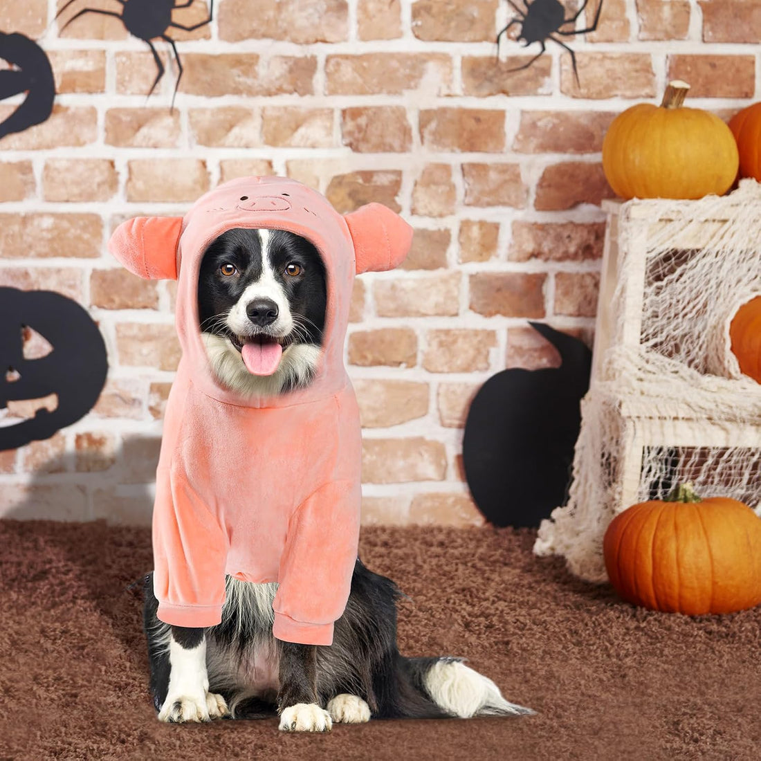 NACOCO Halloween Pig Dog Costume