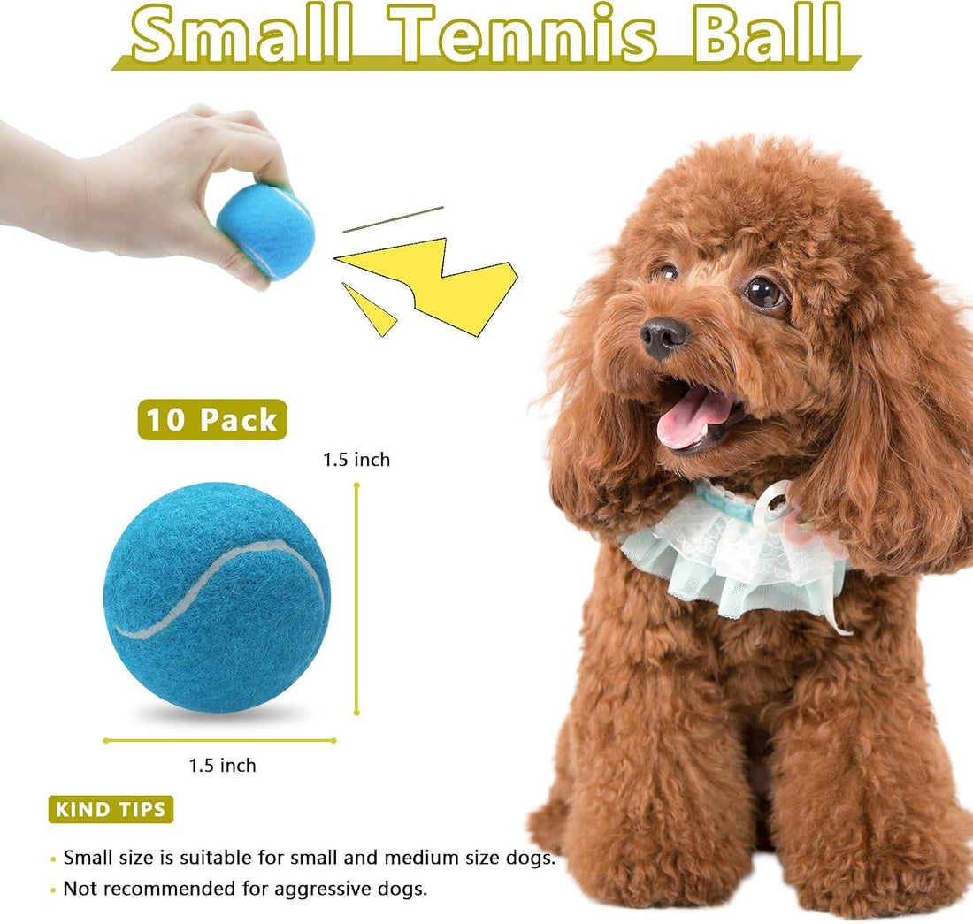 Magicorange 10 Pack Squeaky Mini Tennis Balls, 1.5 inch Small Dog Ball
