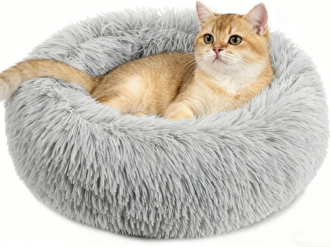 RAINFLOW Cat Bed Indoor Calming