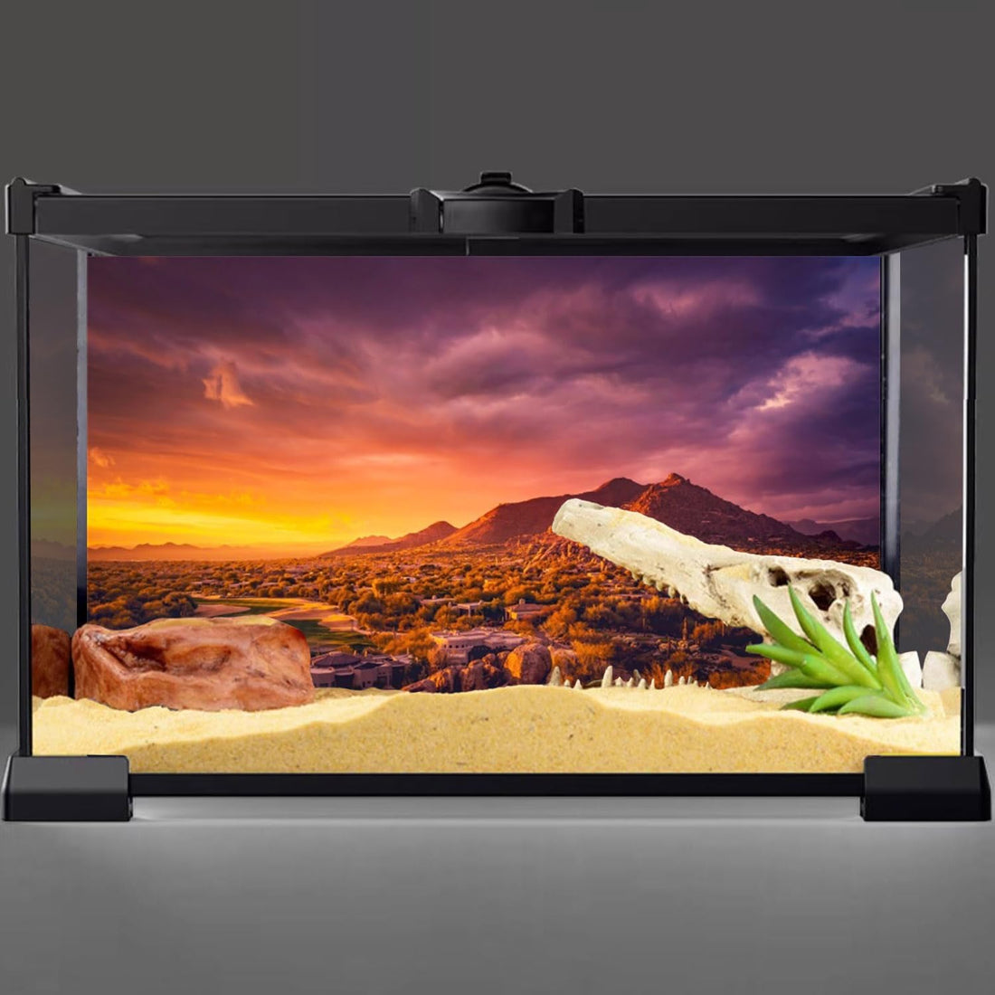 36x18 in Desert Mountain Terrarium Backdrop Oasis Reptile Habitat