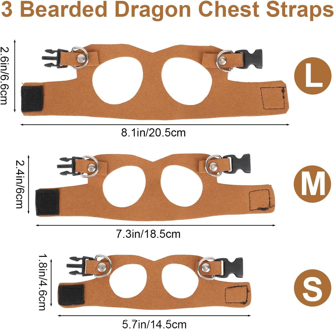 Bearded Dragon Leash and Harness Set