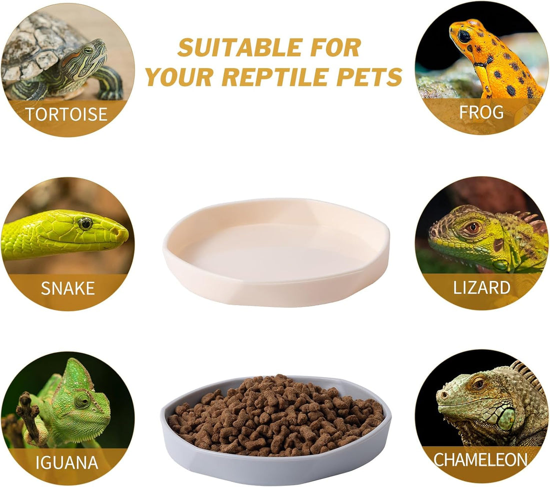 COMSUN 4 Pack Small Reptile Food Dish Bowl