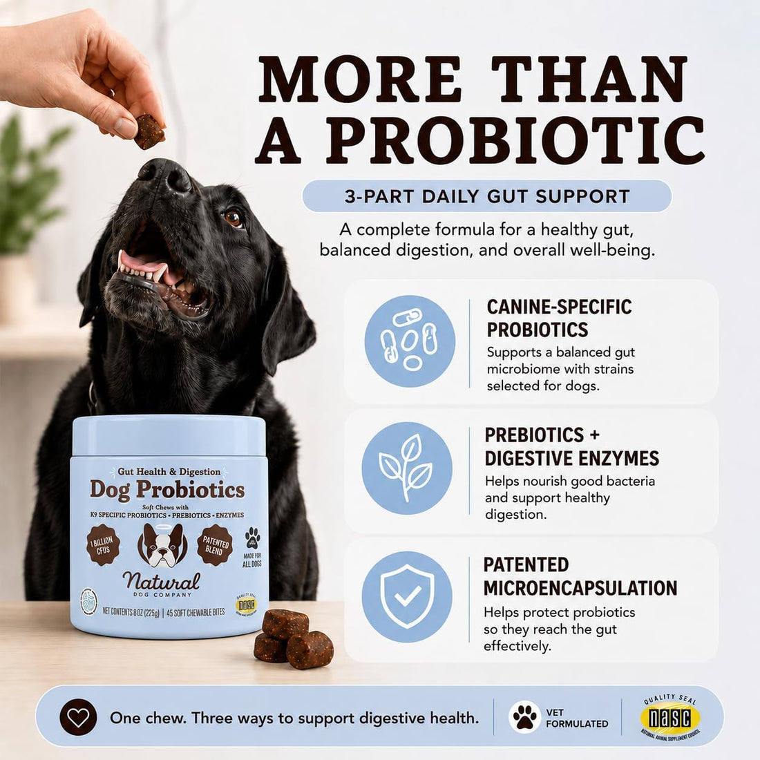 Natural Dog Company Probiotics for Dogs
