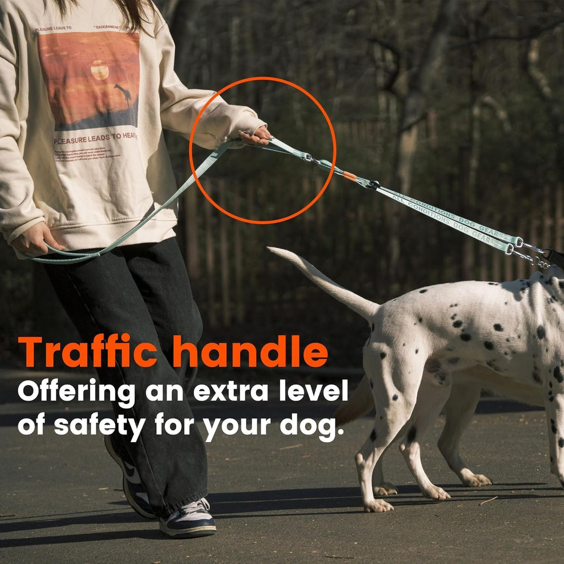 HOWGO Double Dog Leash,Tangle-Free 360 Swivel(Black, Pro S-M w.Handle)