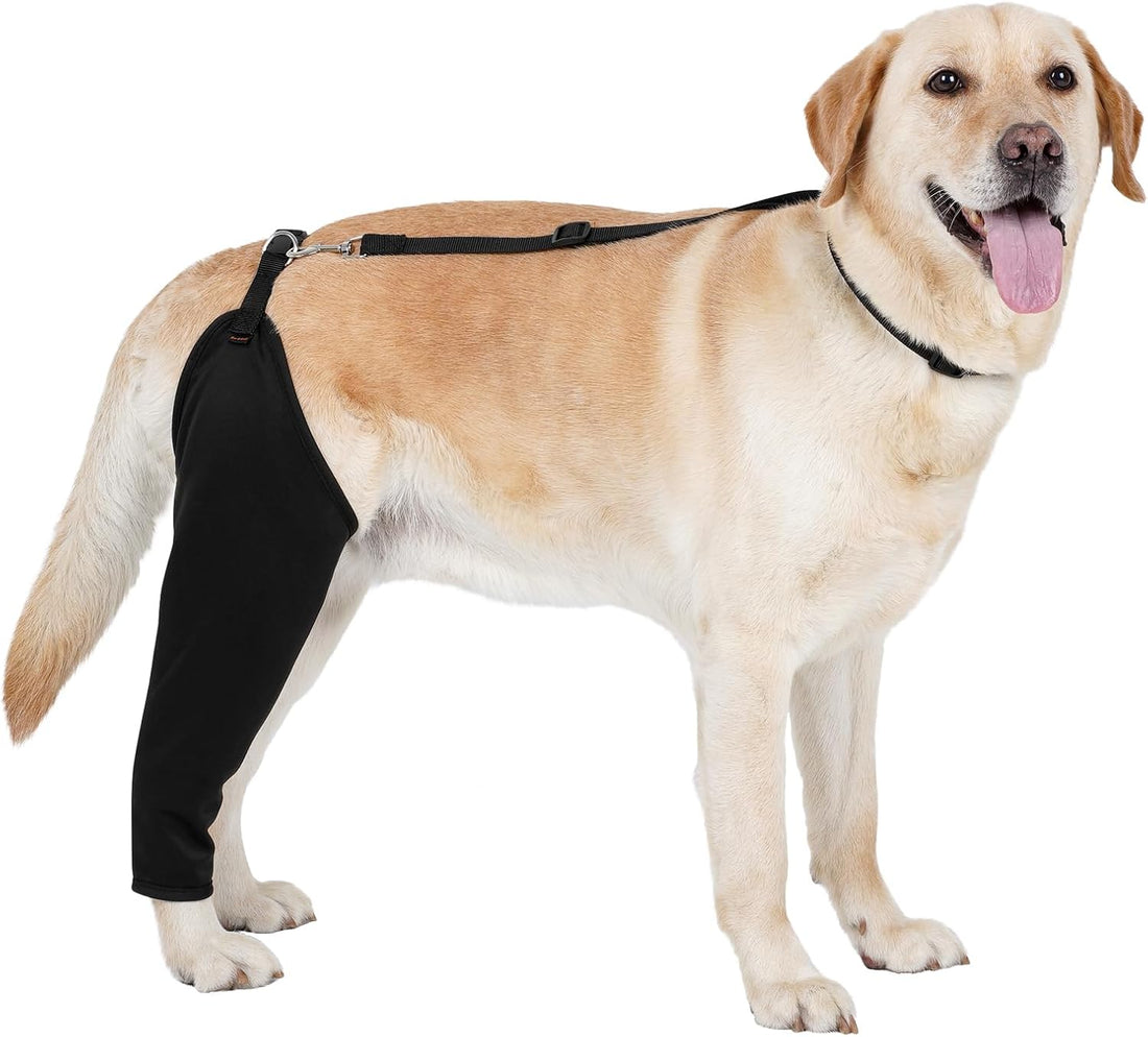 BARKLESS Single Dog Rear Leg Sleeve to Stop Licking
