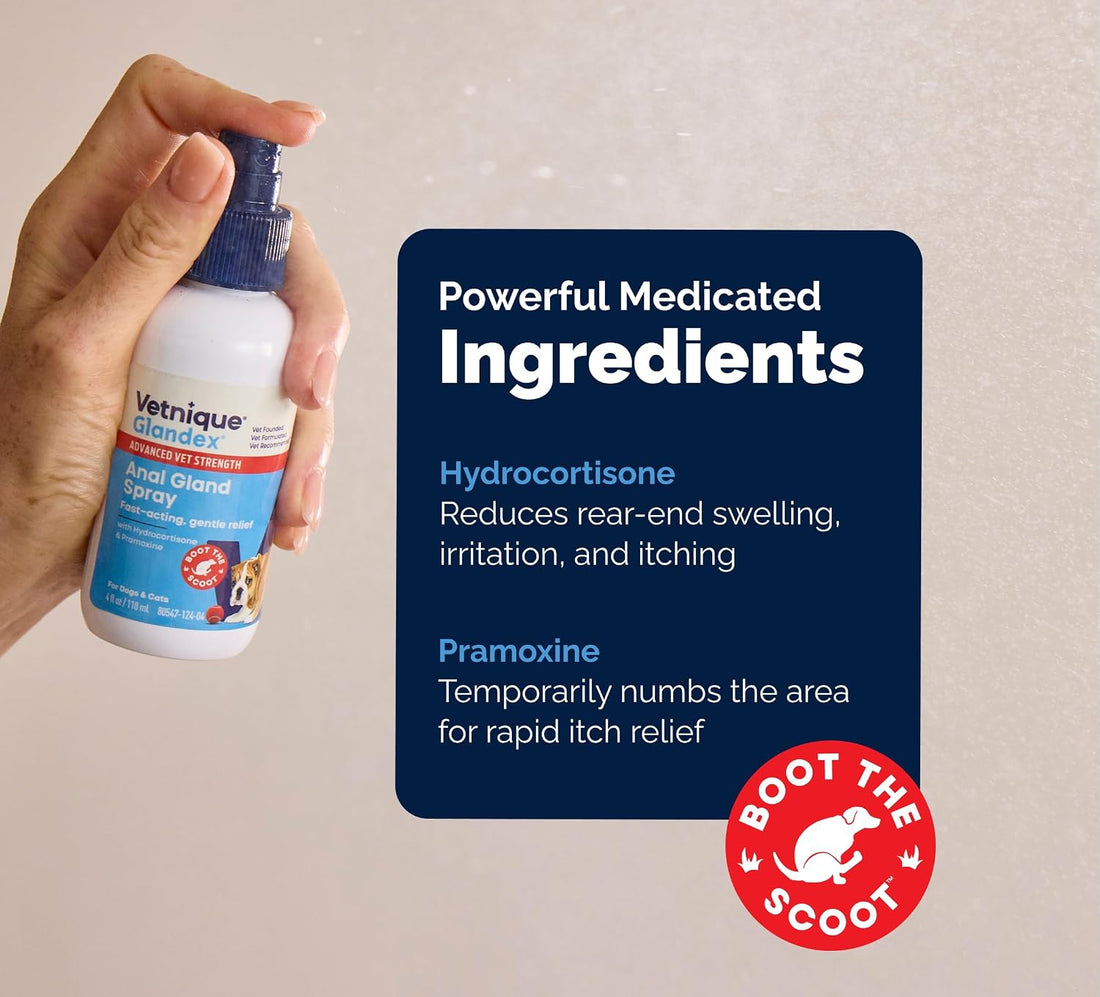 Vetnique Glandex Medicated Dog Butt Wipes or Spray for Dog Scooting