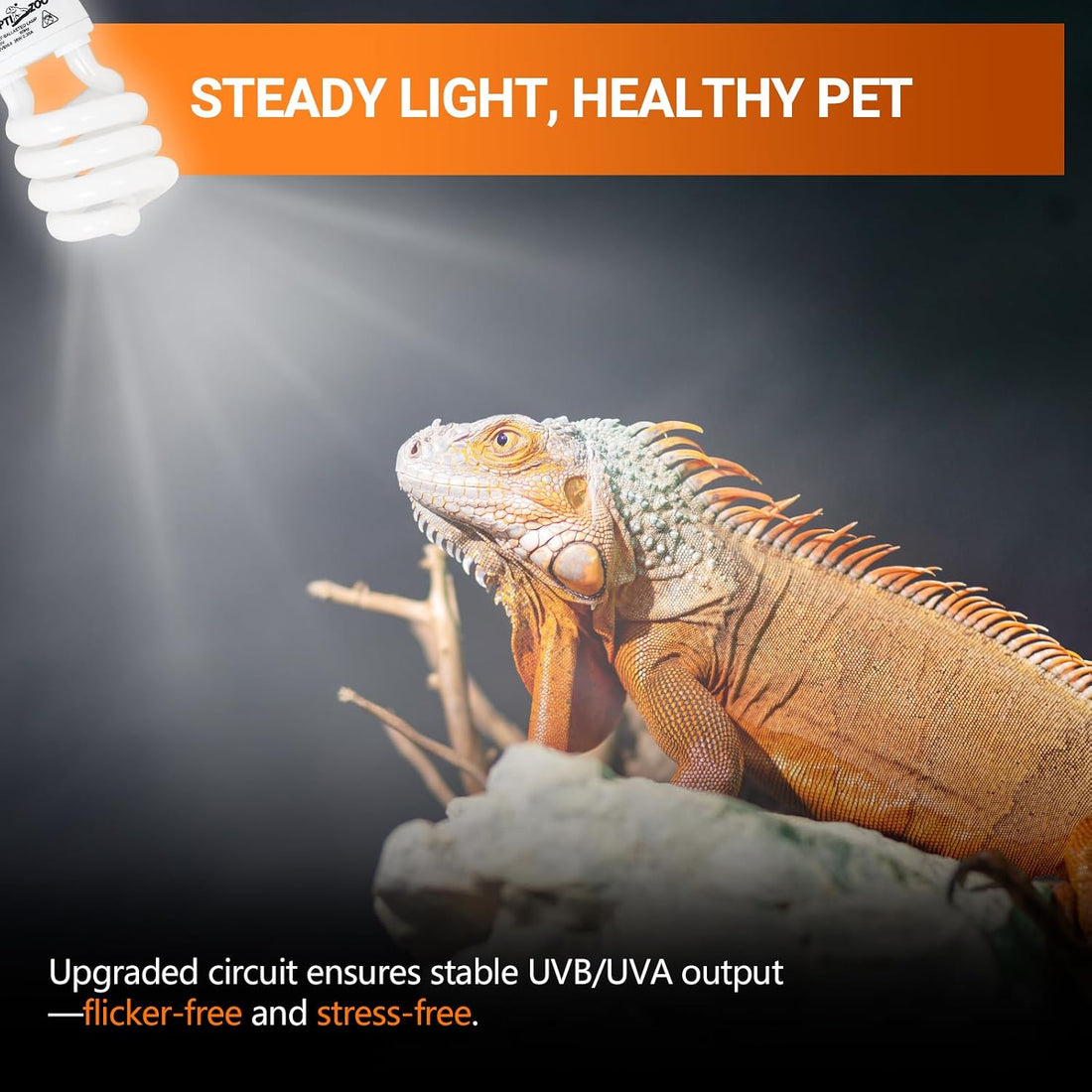 REPTI ZOO UVB Light for Desert Reptile 2 Pack