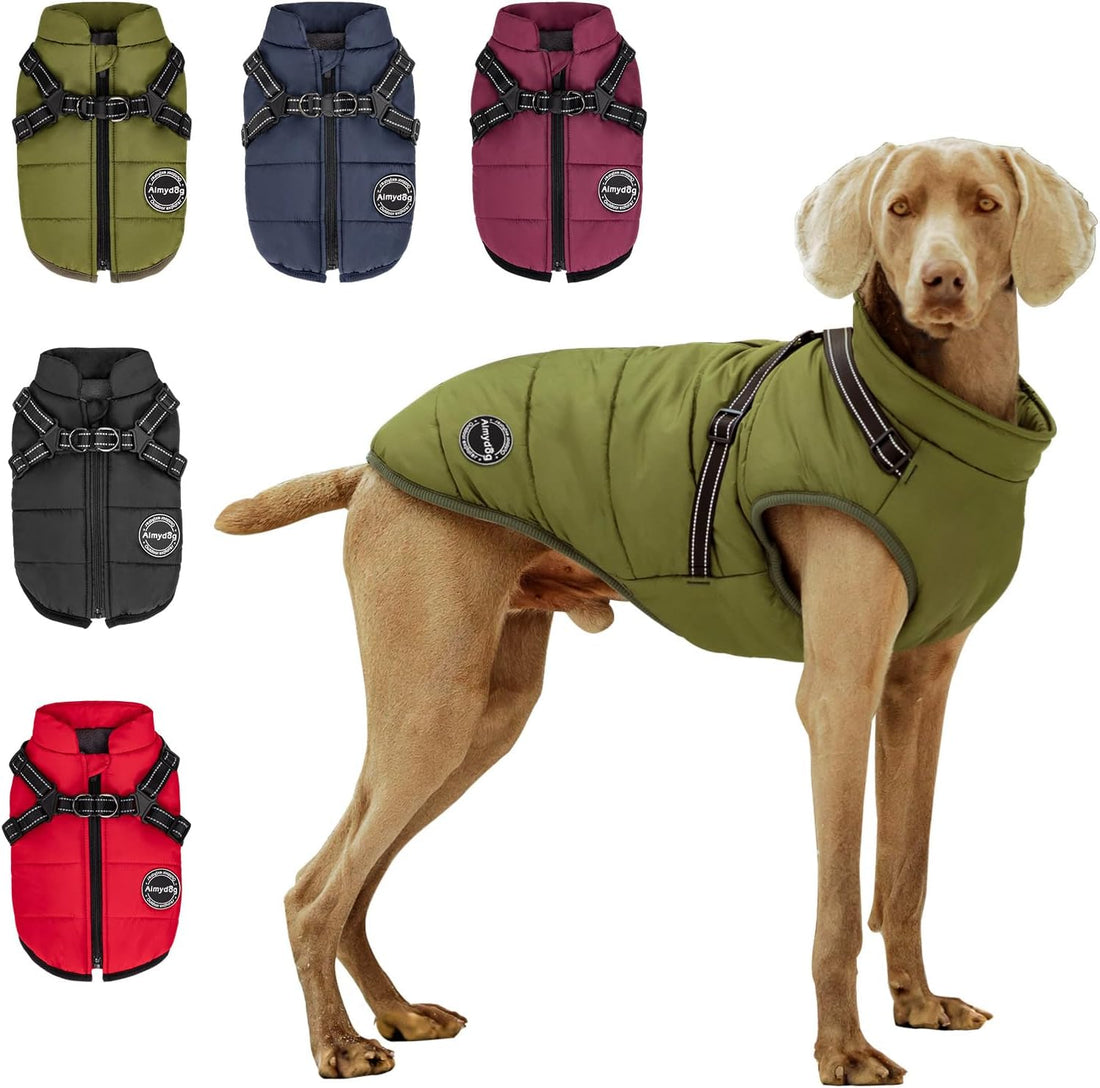 Warm Dog Winter Coat, Fashion Sports Cold Weather Jacket