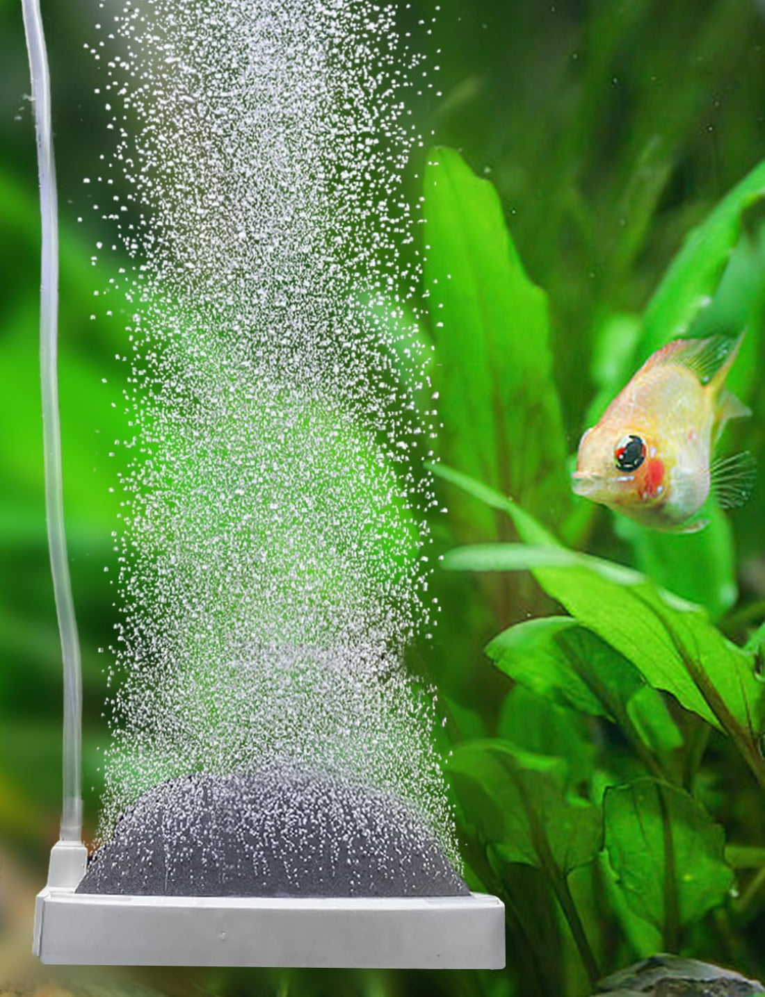 UPETTOOLS Nano Air Stone for Aquarium, Quiet Fine Bubble Diffuser