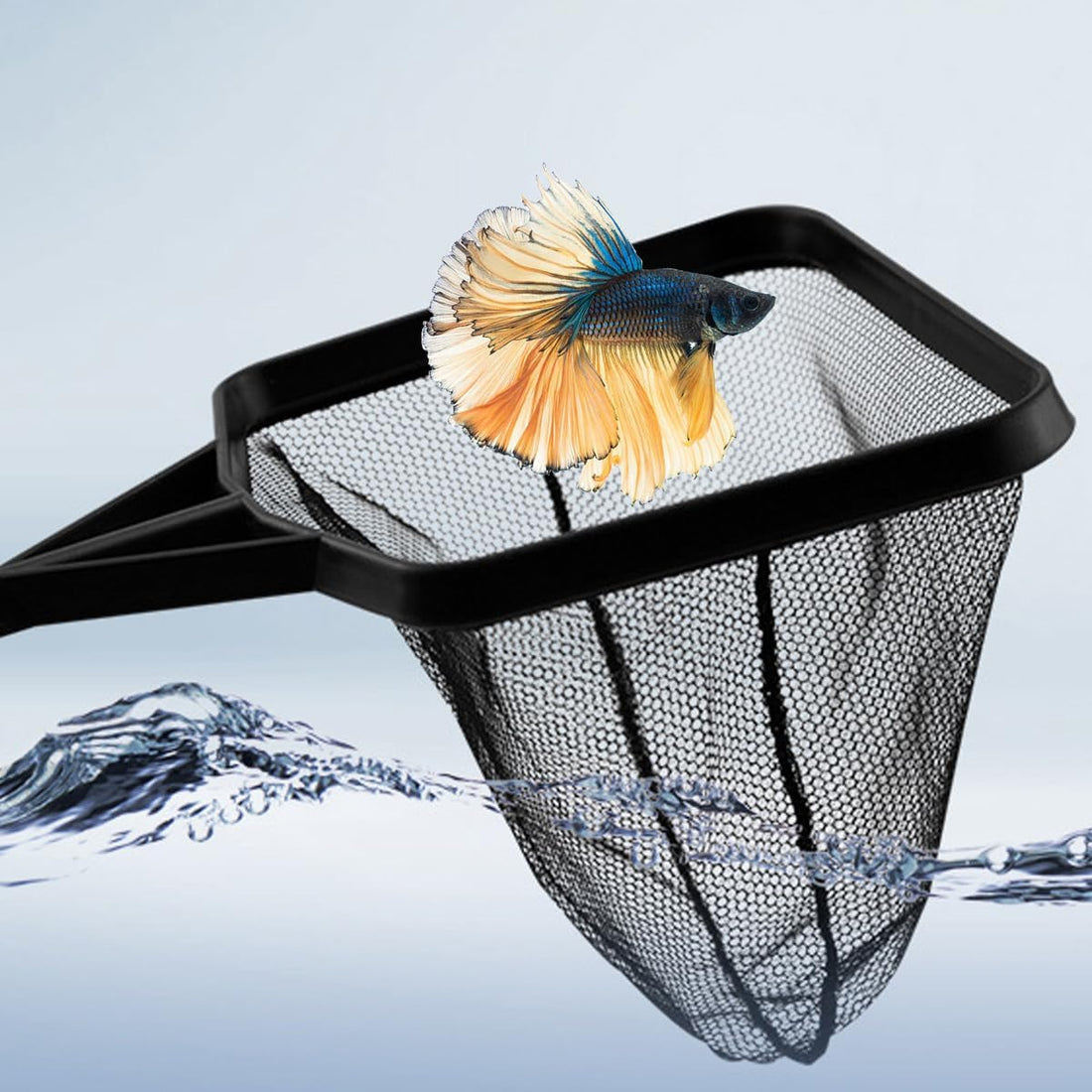 Aquarium Fish Net, 4 Inch Fine Mesh Fish Catch Nets for Fish Tanks