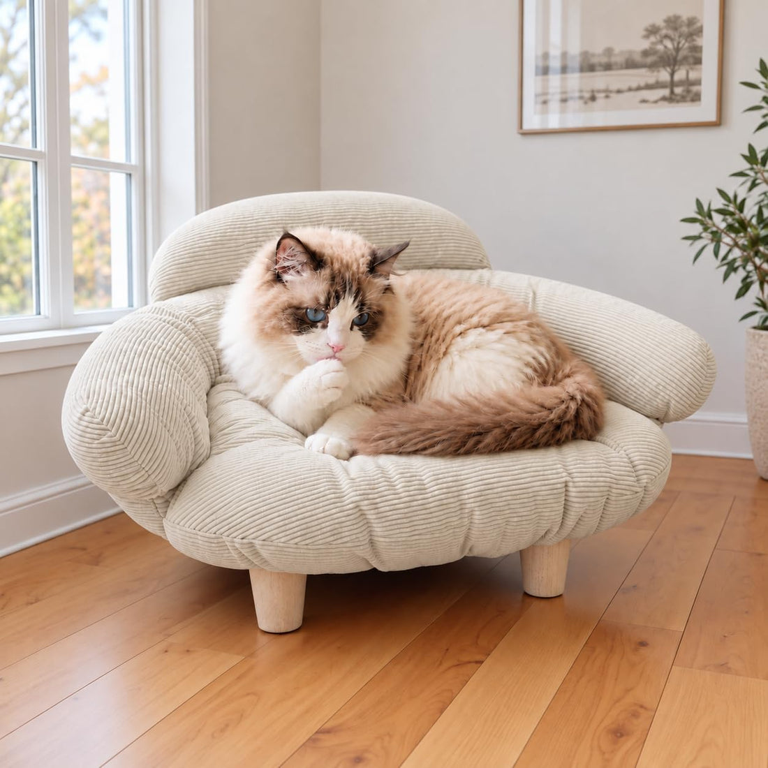 Elevated Cat Sofa Bed, Raised Cat Couch Pet Sofa for Indoor Cats