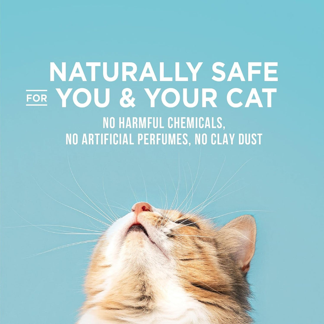 WORLD'S BEST CAT LITTER Poop Fighter Maximum Odor Defense, 15-Pounds
