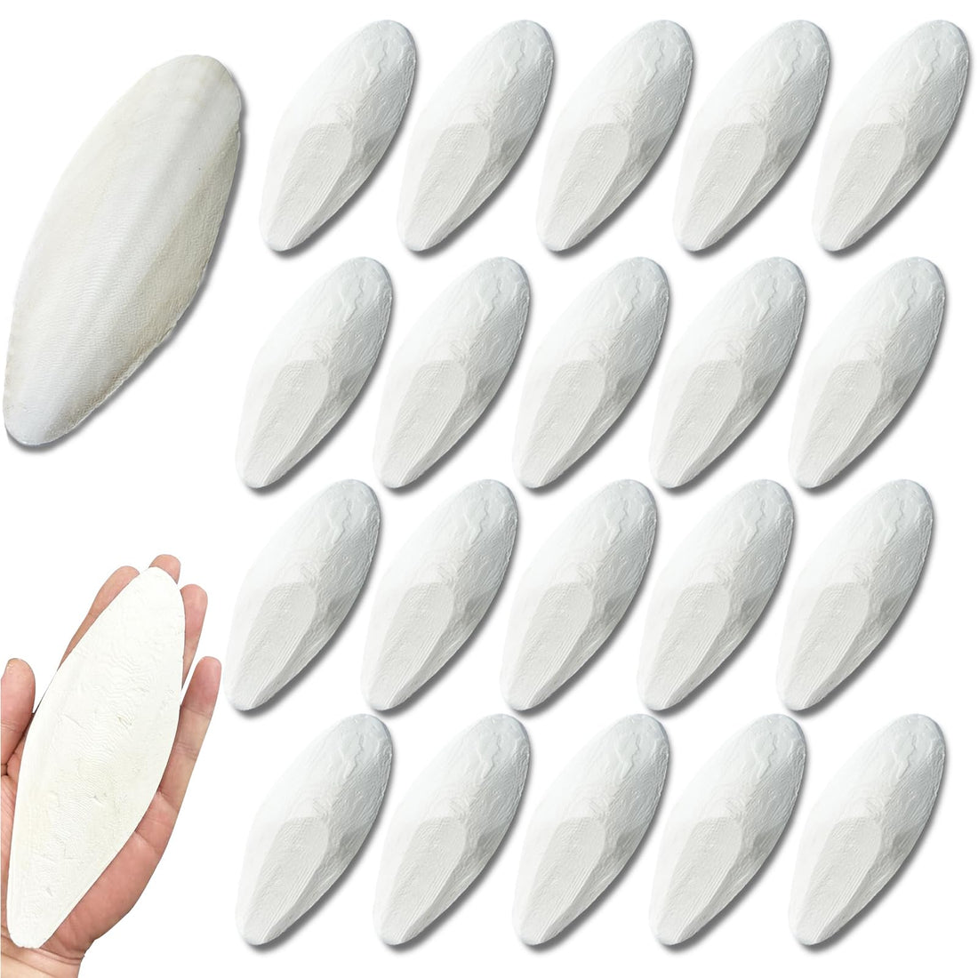 Clyairmao Bird Cuttlebone for Parakeets Cuttlebone for Birds
