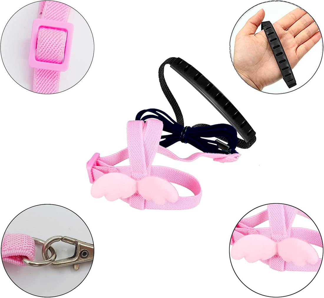 Dnoifne Parrot Harness and Leash, Adjustable Training Design Anti-Bite