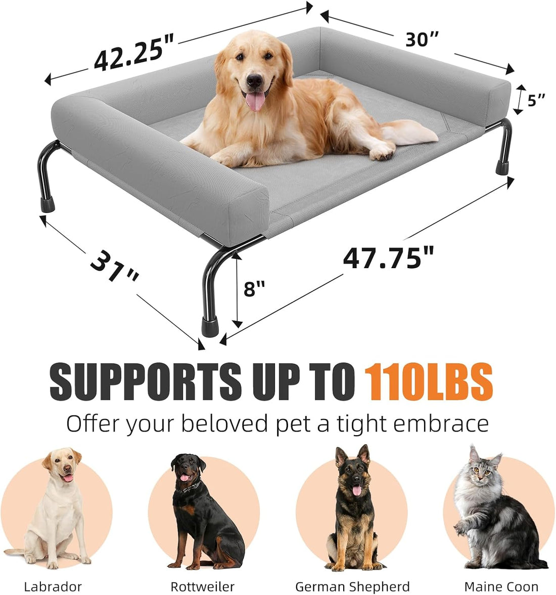 Simple Trending Elevated Dog Bed for Large Dogs with Bolsters