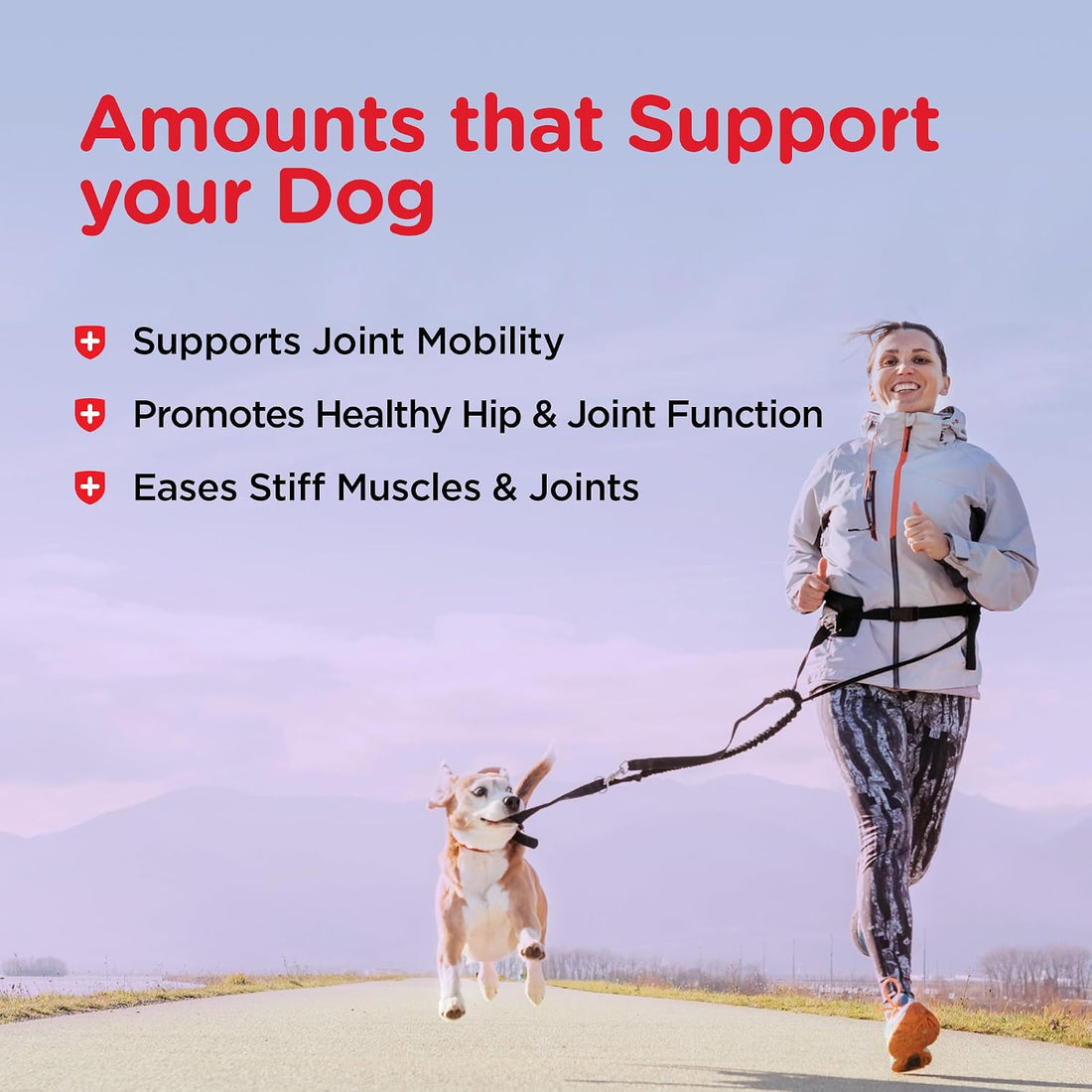 Nutri-Vet Hip & Joint Biscuits for Dogs, Dog Hip & Joint Supplement