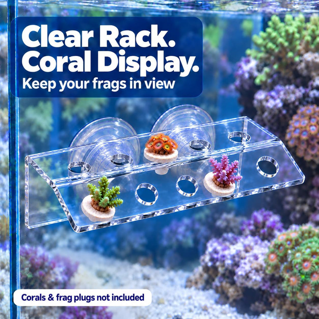 kcrygogo Coral Frag Holder Acrylic Coral Frag Rack with Powerful