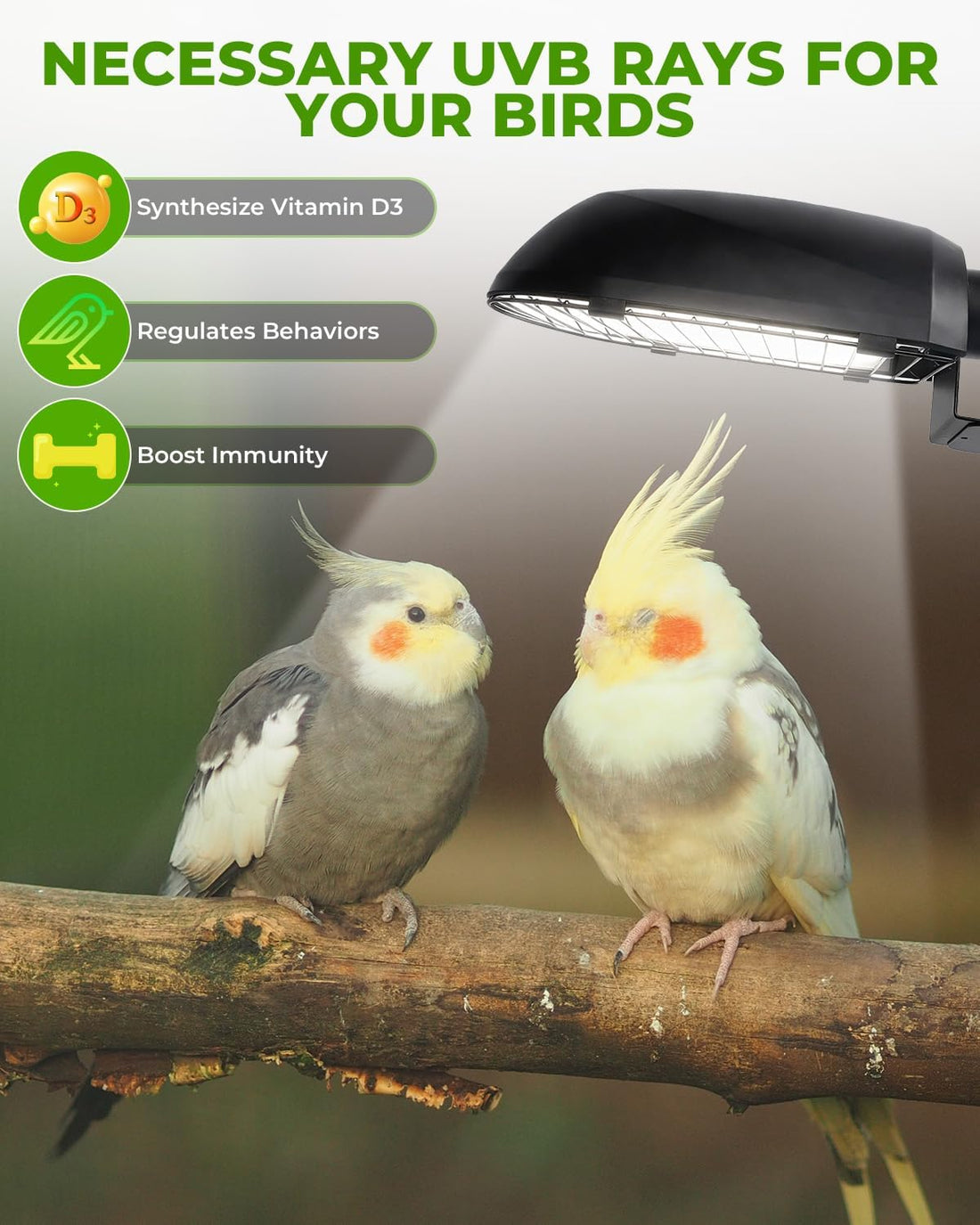 GlowUp UVB 2.4 Bird Cage Light Combo Kit, 20W UVB Bird Light Bulb