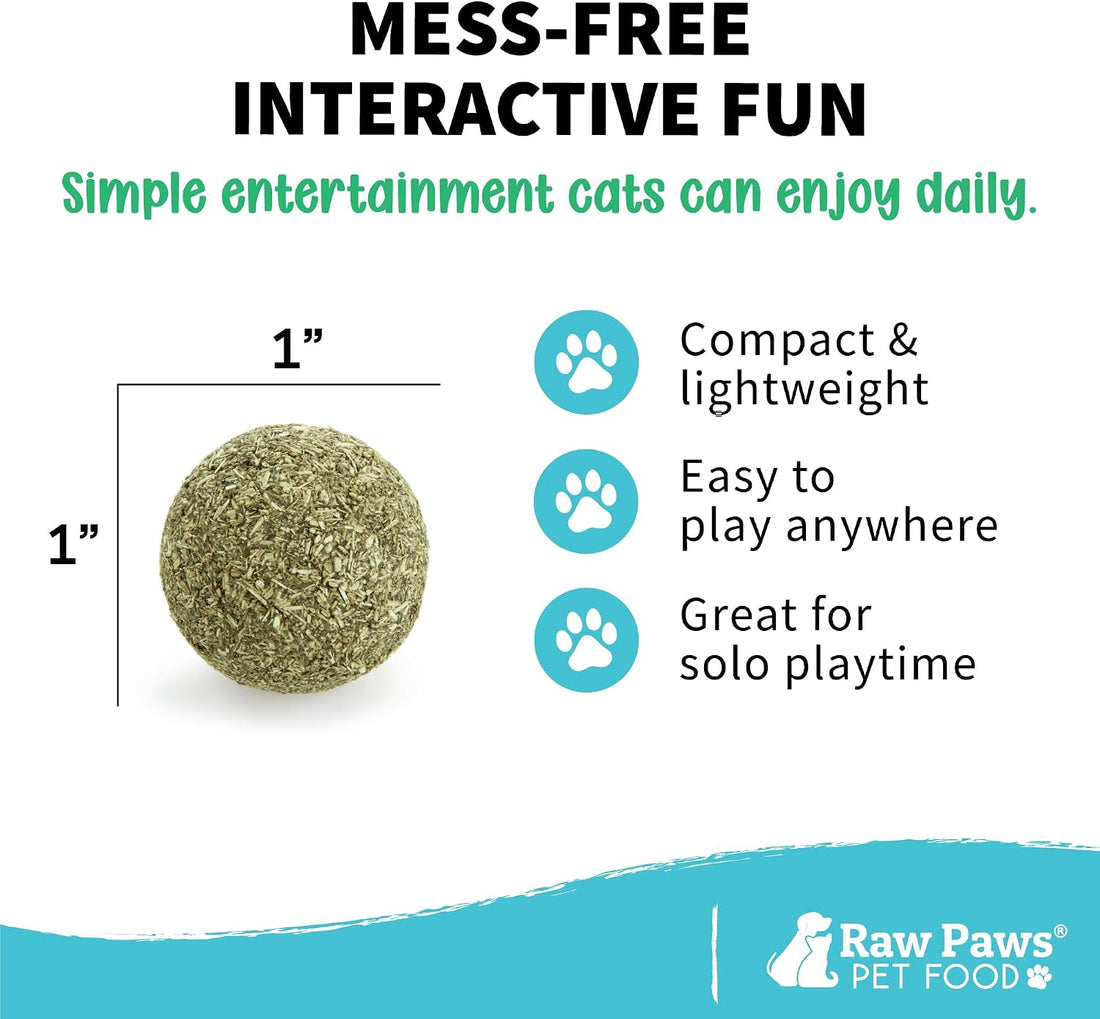 Raw Paws Catnip Balls for Cats (6-Count) - Interactive Indoor Cat Toy