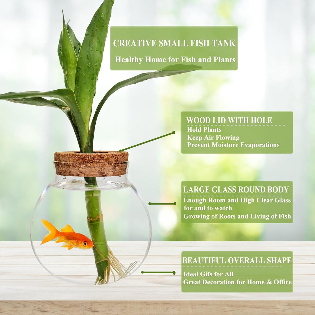 Small Betta Fish Tank Glass Fish Bowls for Betta Fish Goldfish