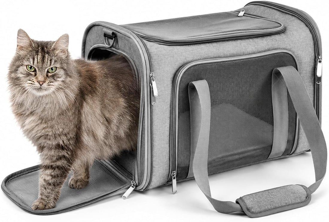 COZPAW Large Cat Carrier Soft‑Sided for Cats & Dogs Up to 25 Lbs
