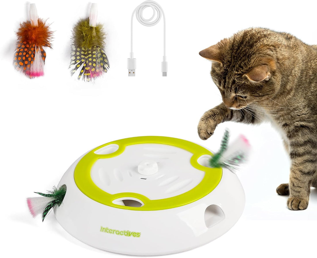 AFP Interactive Cat Toy, Butter-Fly Interactive for Indoor Cats