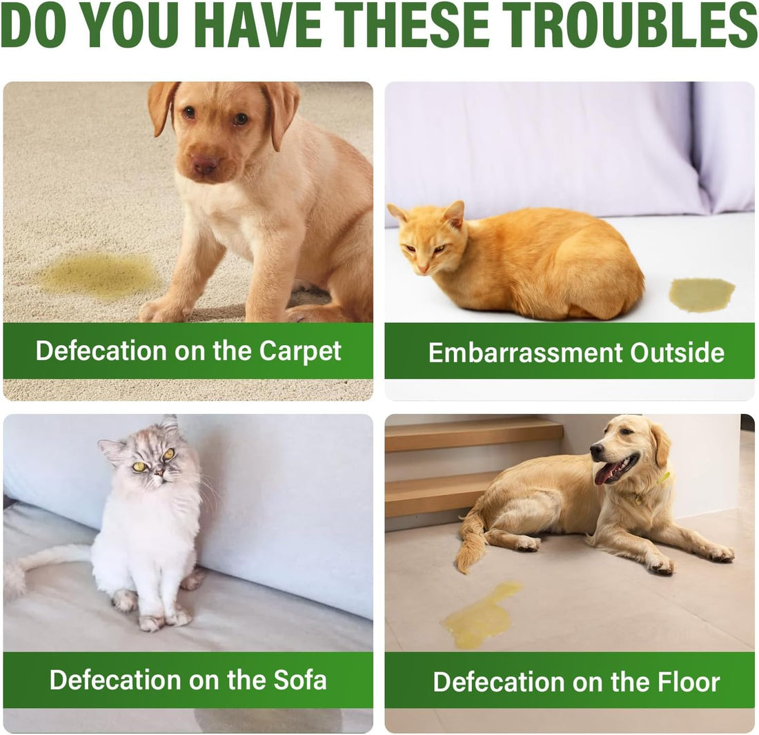 Potty Training Spray for Dogs, Indoor and Outdoor Housebreaking Aid