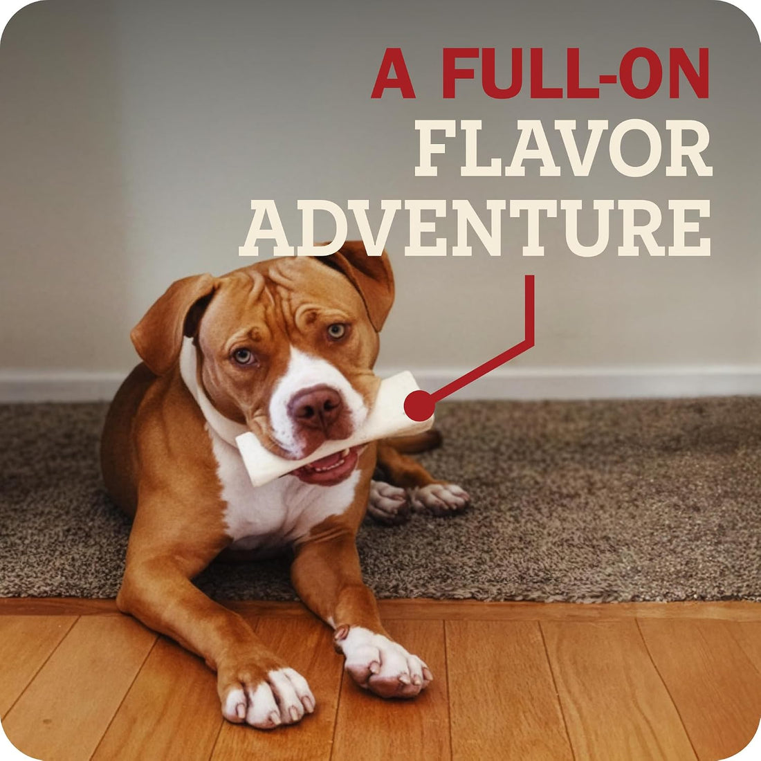Redbarn Large Filled Bones Premium Dog Chew Cheese n' Bacon Flavor