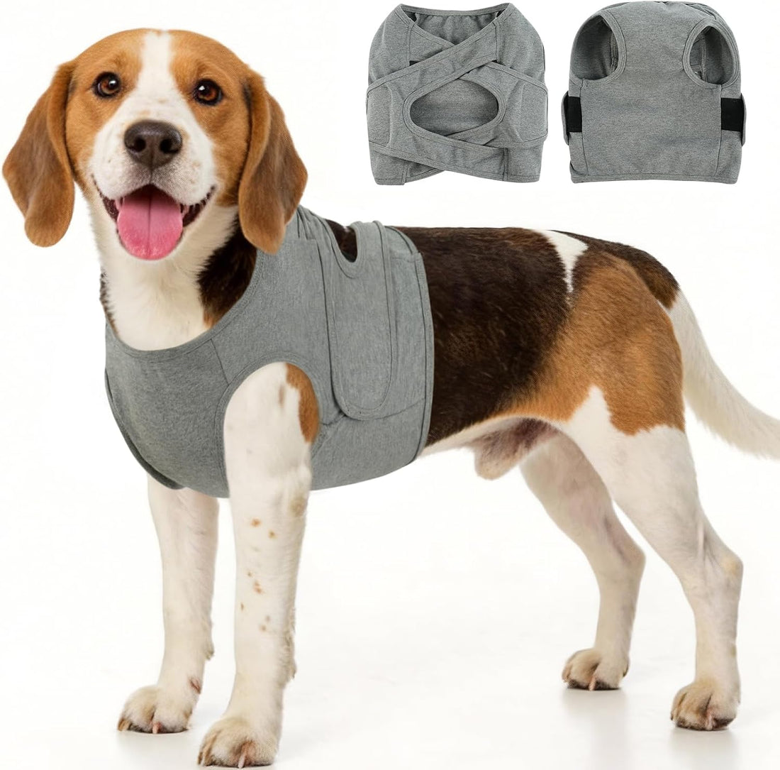 BRKURLEG Chest Recovery Suit for Dogs, Chest Wound Cover, Grey XL