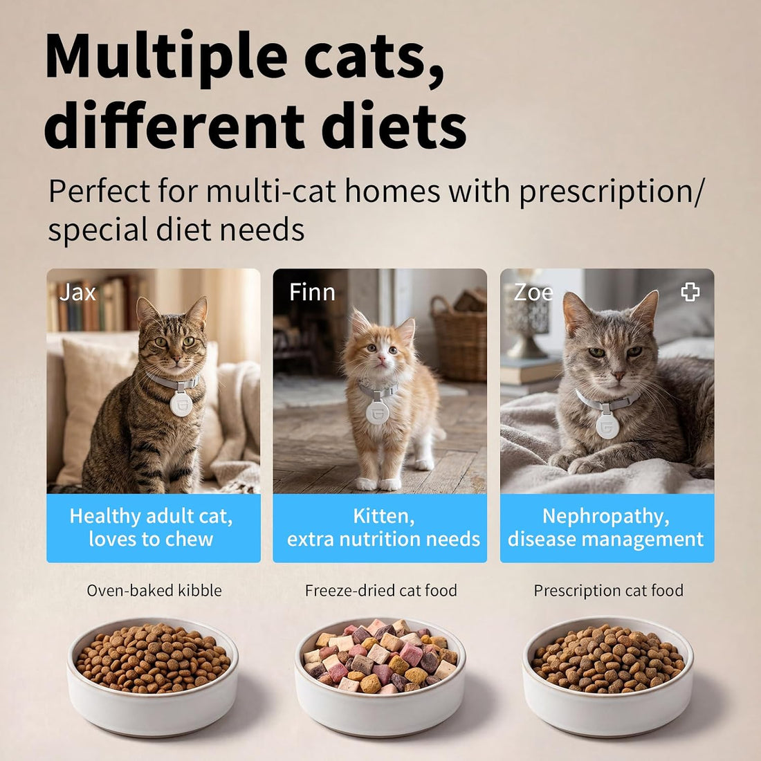 HoneyGuaridan RFID Automatic Cat Feeder with Collar Tag-Activated