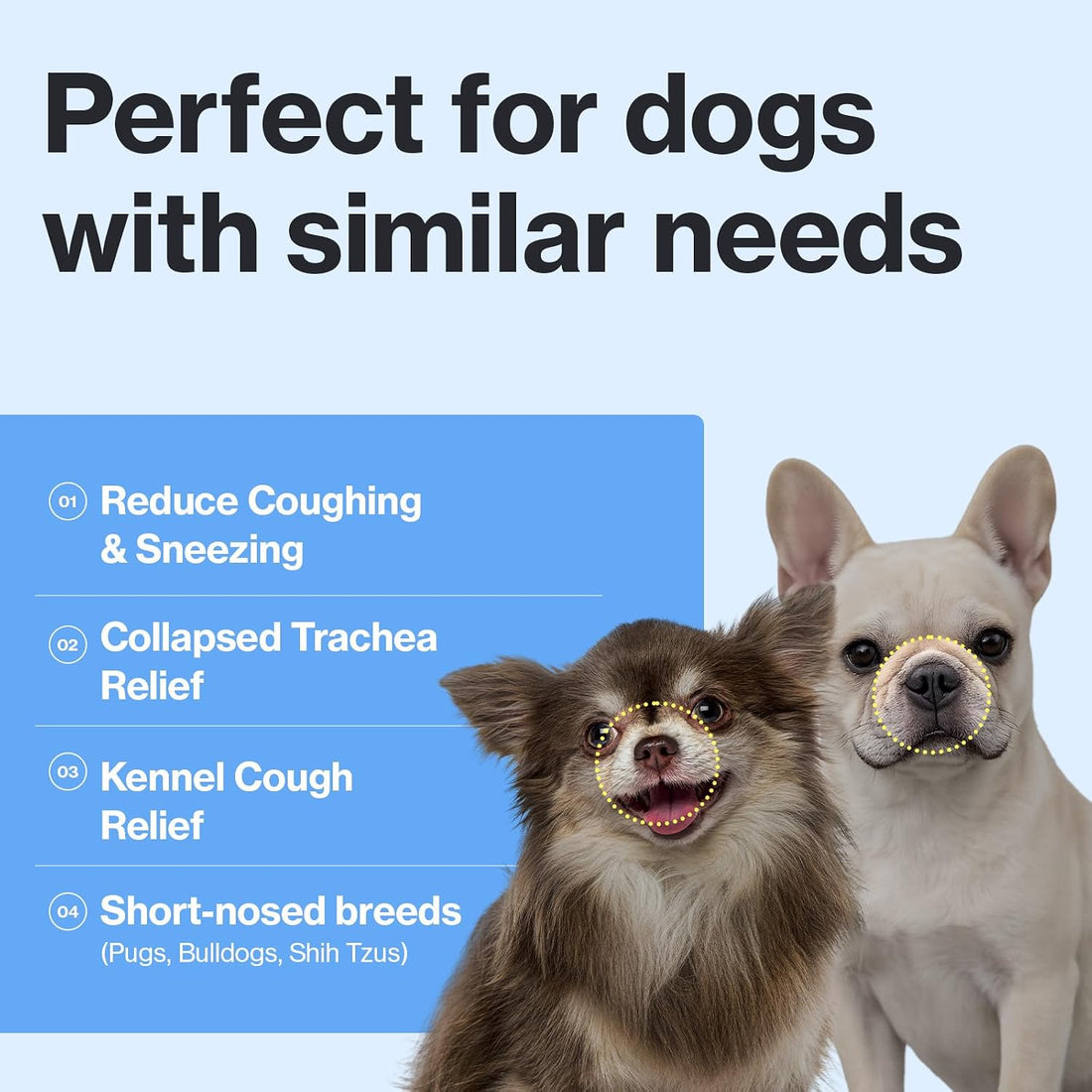 Doctor By Breath Care for Small Dogs, Bronchial & Respiratory Support