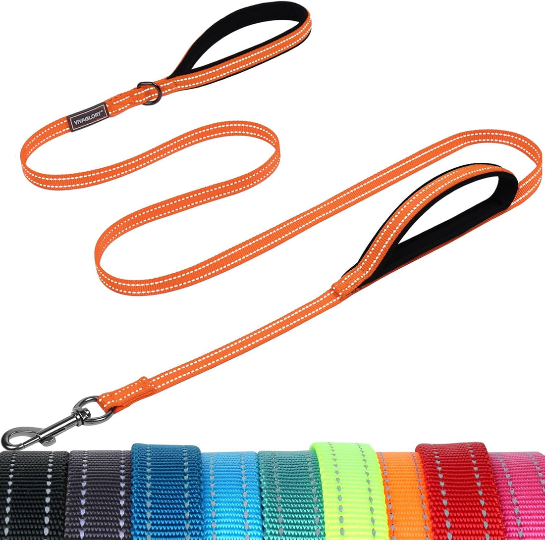 VIVAGLORY Double Handle Dog Leash Twingrip, 4ft x 1in