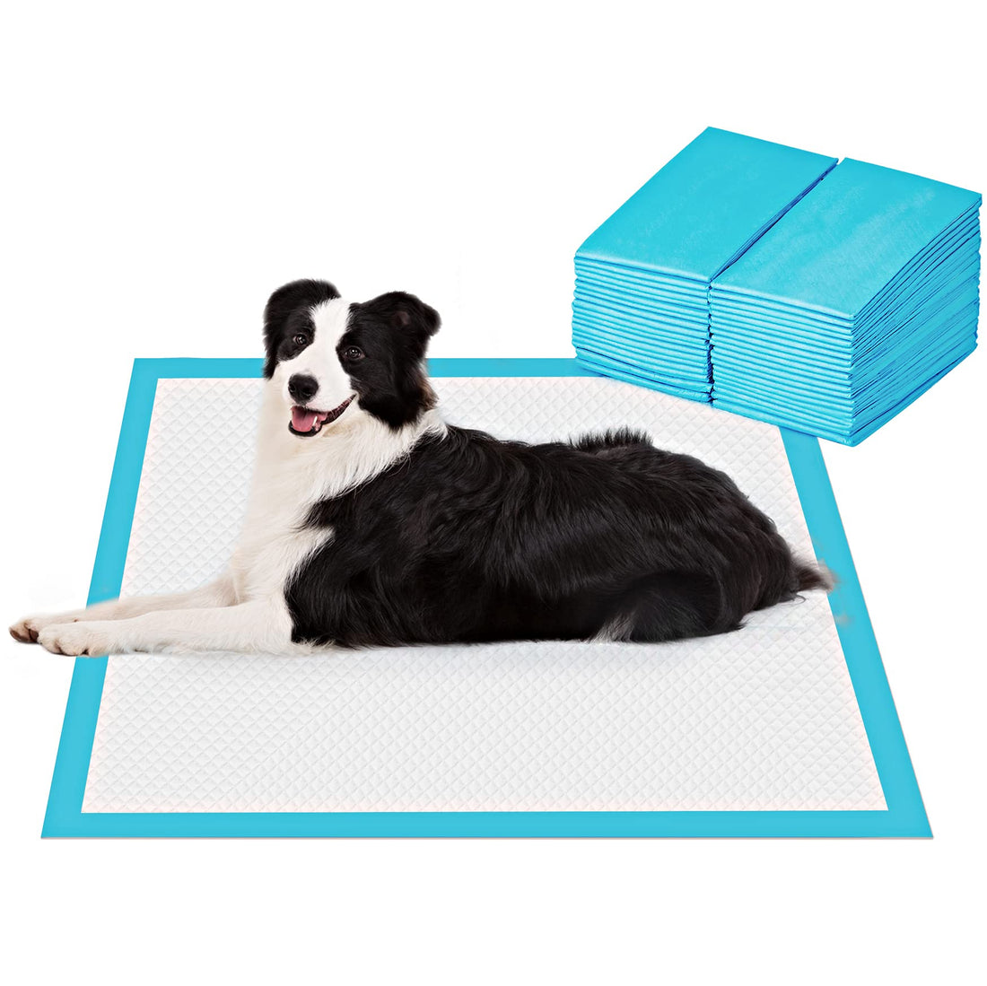 BESTLE Extra Large Pet Training and Puppy Pads Pee Pads for Dogs