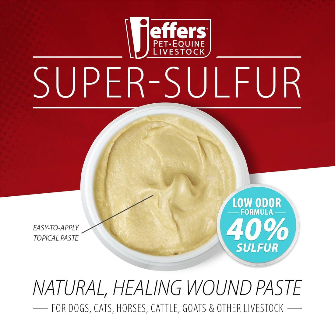 Jeffers Super Sulfur Natural Healing Paste for Dogs