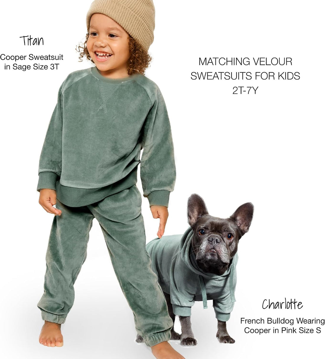 Pet Passion Cooper II Dog Hoodie, Sage, Large