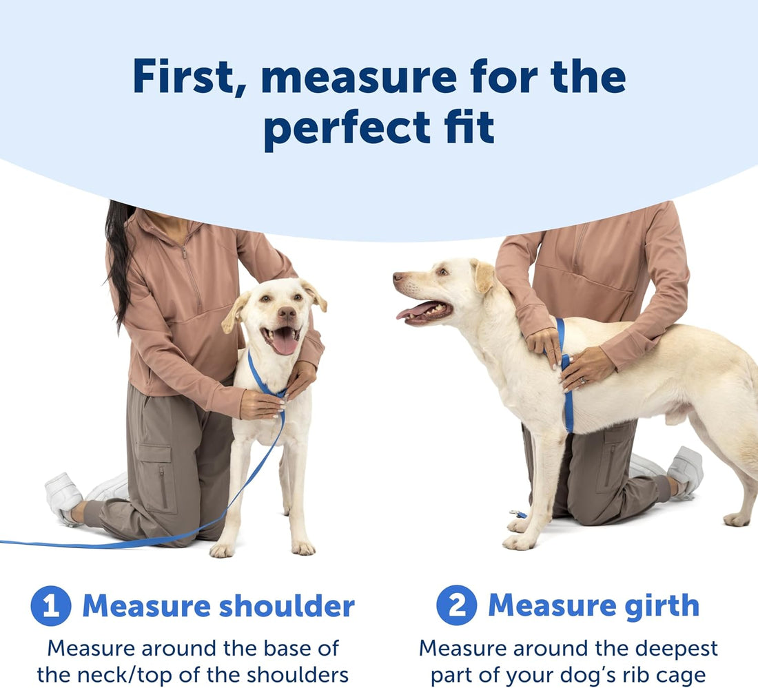PetSafe Easy Walk Comfort No-Pull Dog Harness Full-Body Padding