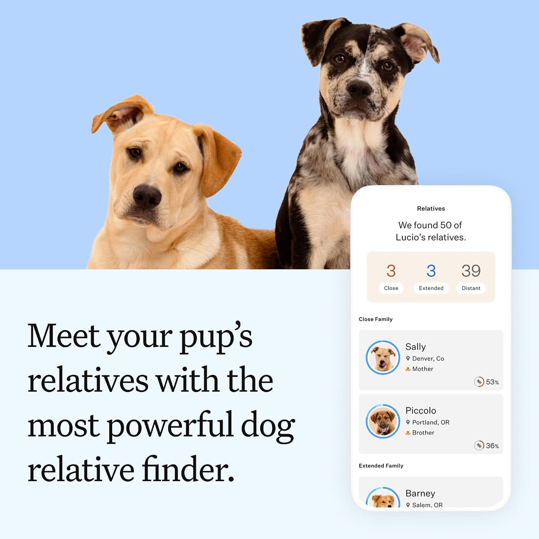 Wisdom Panel Essential Dog DNA Kit: Most Accurate Test for 365+ Breeds