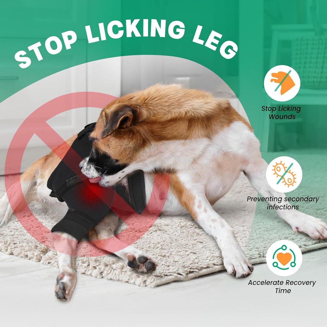 Dog Rear Leg Sleeve to Stop Licking