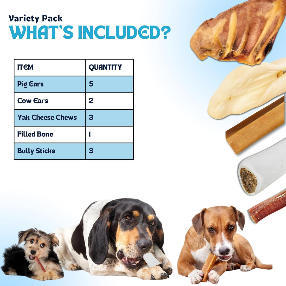FETCHERONI Dog Treat Variety Box - Long Lasting Dog Chew Treats