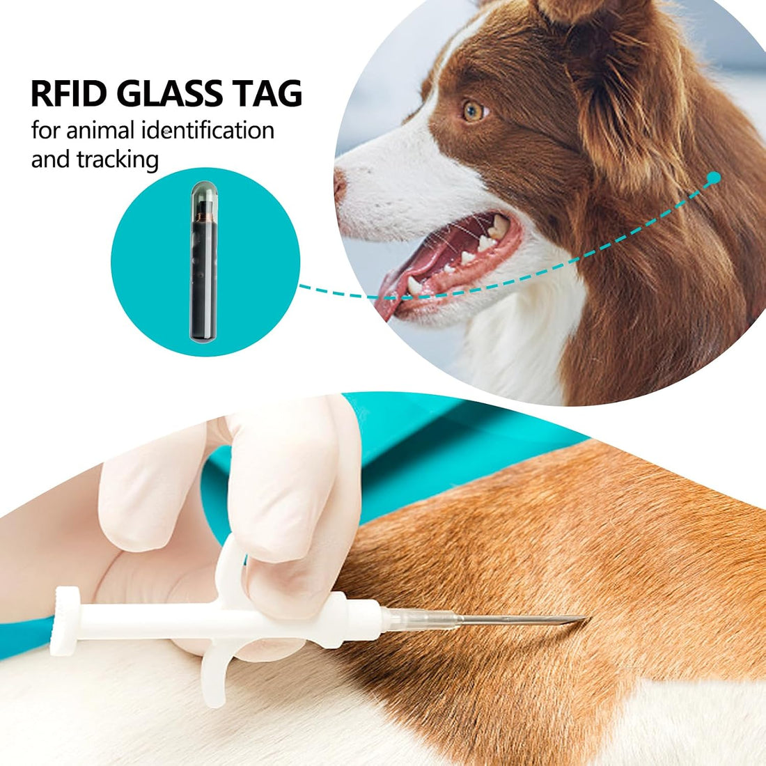 Manruta Microchip for Dogs and Cats Small Size 7 mm Length