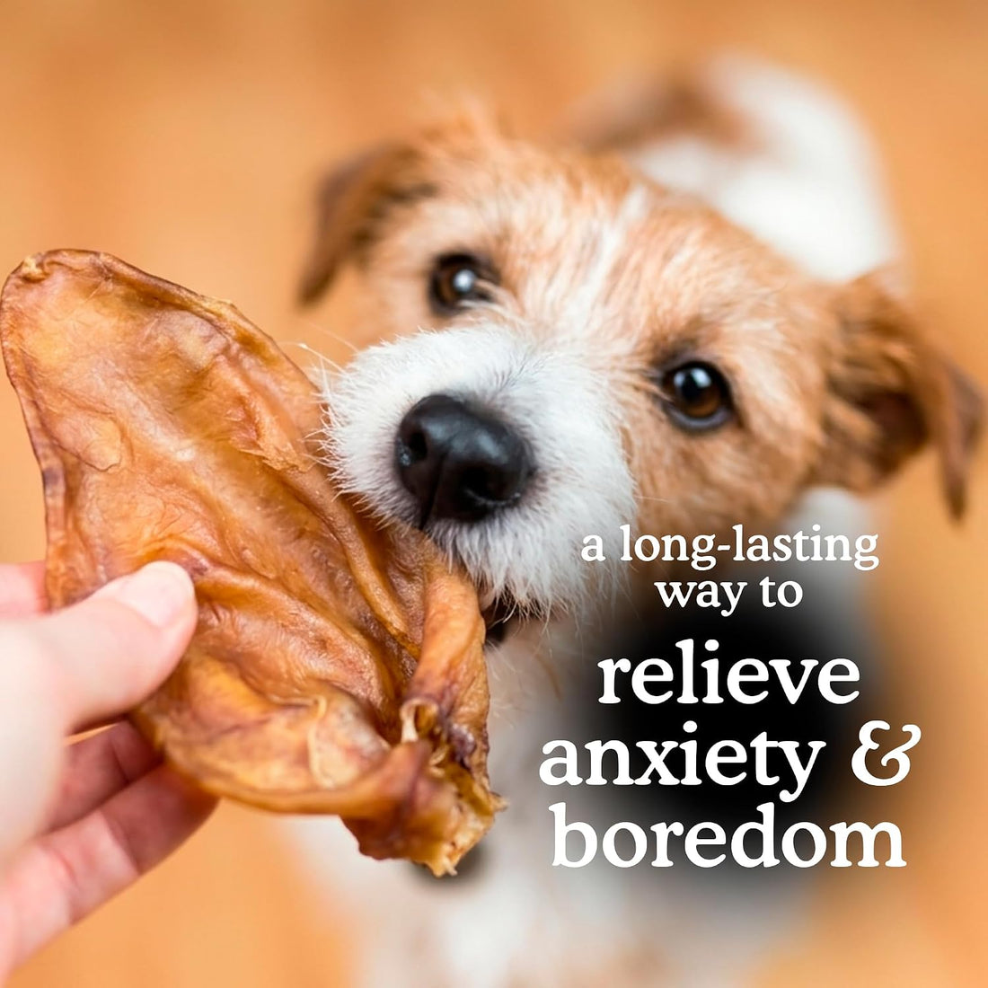 Jack&Pup Pig Ears for Dogs - All Natural Single Ingredient Extra