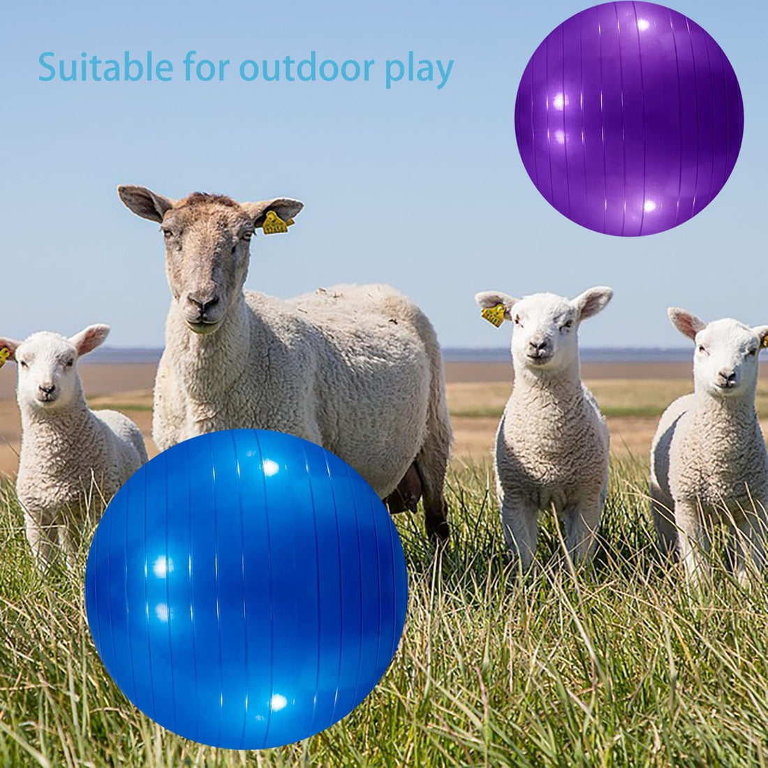3 Pieces Pet Goat Ball Lamb Toy Horse Ball Dog Training Exercise Ball