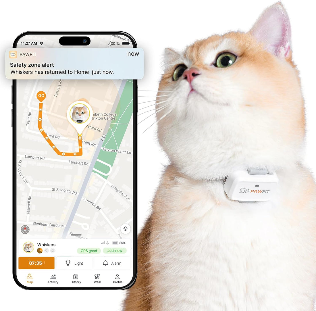 Pawfit Lite 4G GPS Cat Tracker, Live Tracking, Ultra-Light