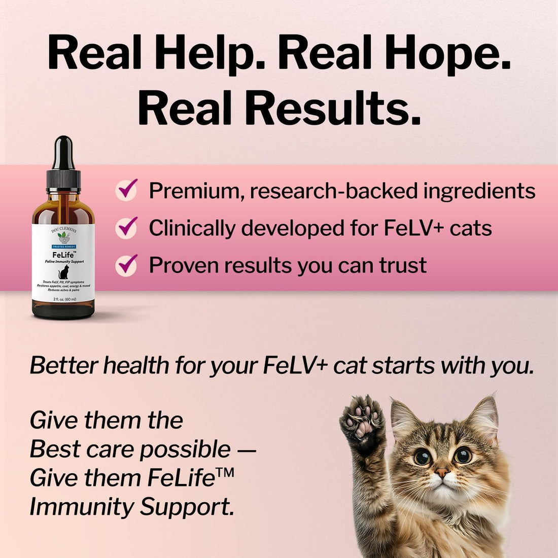FeLife® Feline Immunity Support, FeLV Viral Load Reduction, 1 Bottle