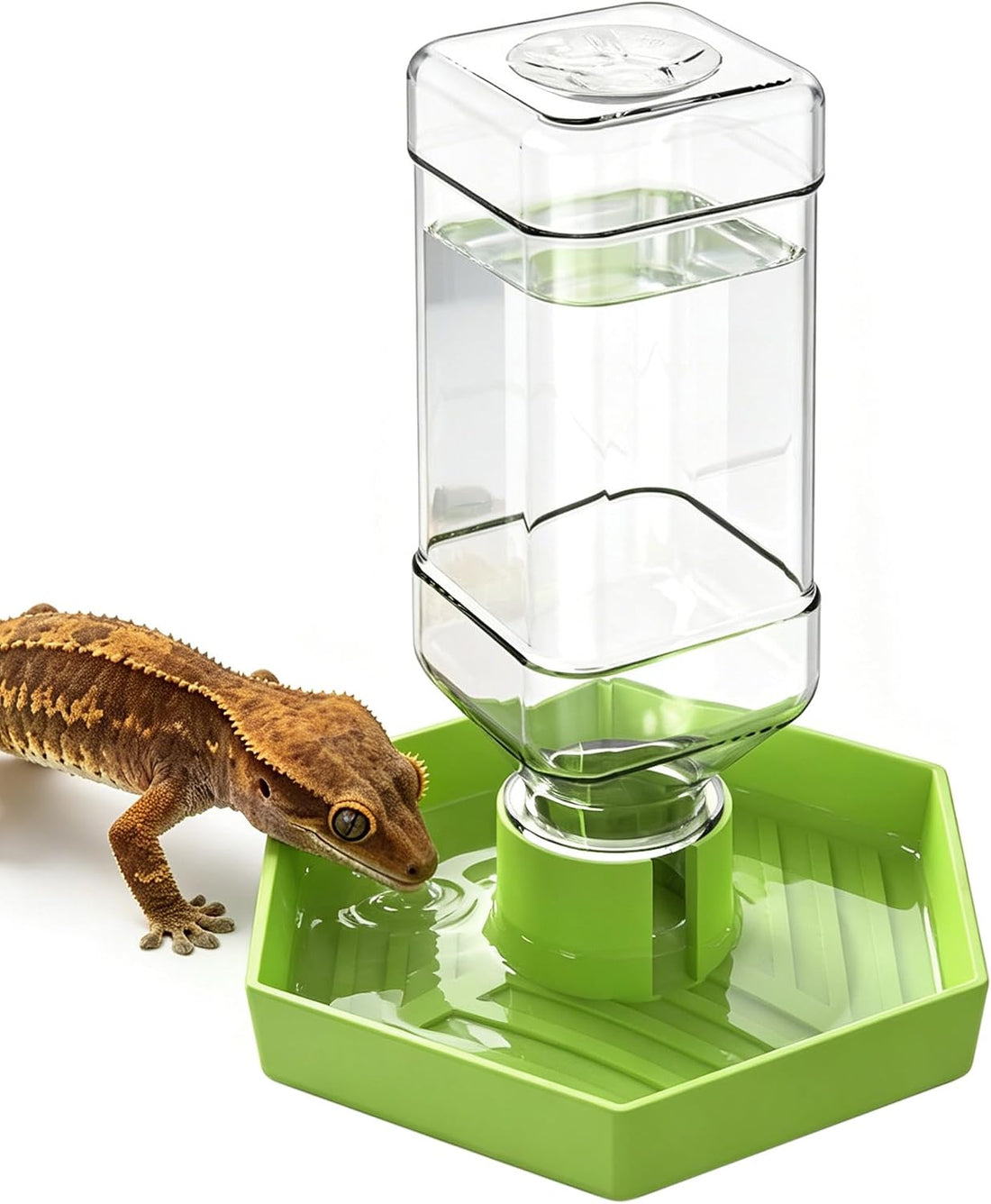 Reptile Water Dispenser Bowl for Bearded Dragon Tortoise